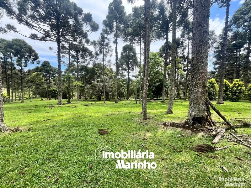 null: 3ª foto da galeria de imagens do imóvel