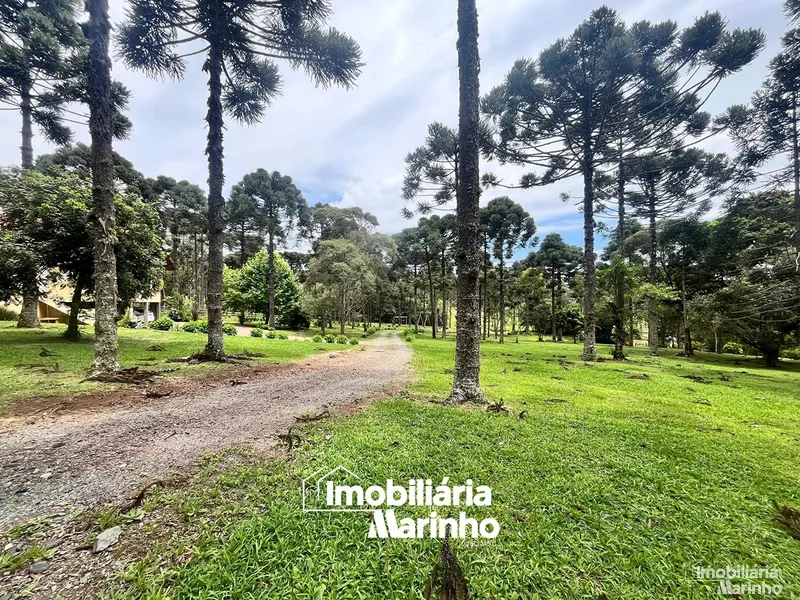 null: 4ª foto da galeria de imagens do imóvel
