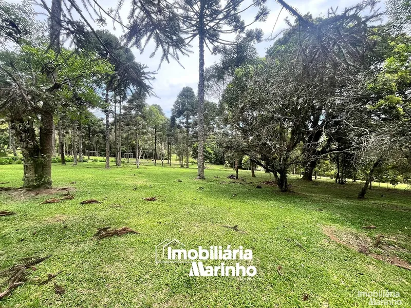 null: 6ª foto da galeria de imagens do imóvel