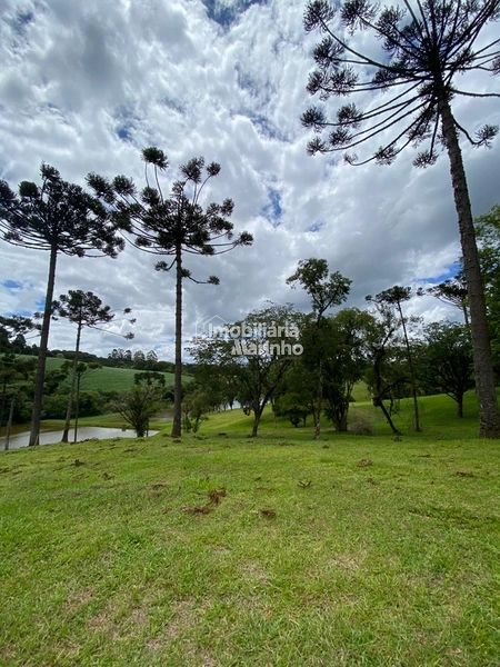 Excelente Terreno para Chácara!: 5ª foto da galeria de imagens do imóvel