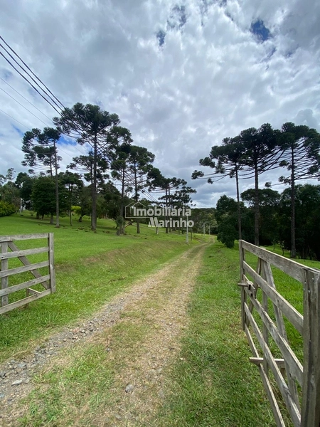 Excelente Terreno para Chácara!: 2ª foto da galeria de imagens do imóvel