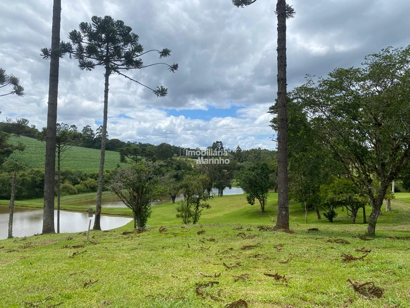 Excelente Terreno para Chácara!: 8ª foto da galeria de imagens do imóvel