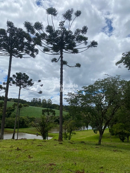 Excelente Terreno para Chácara!: 10ª foto da galeria de imagens do imóvel