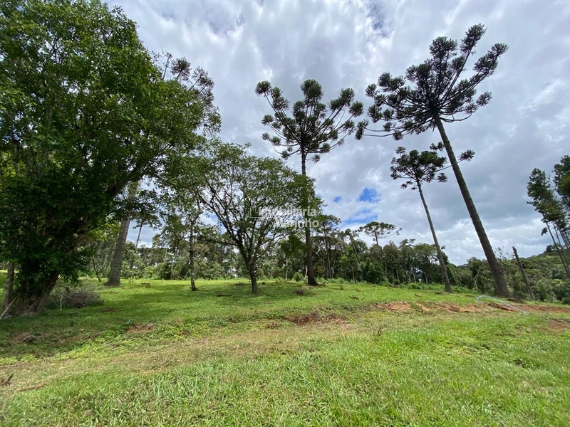 Excelente Terreno para Chácara!: 12ª foto da galeria de imagens do imóvel