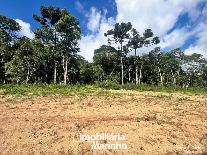 null: 2ª foto da galeria de imagens do imóvel