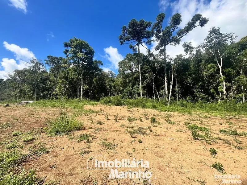 null: 3ª foto da galeria de imagens do imóvel