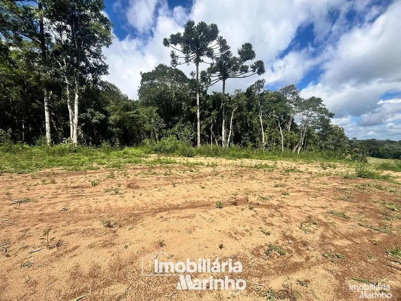 null: 5ª foto da galeria de imagens do imóvel