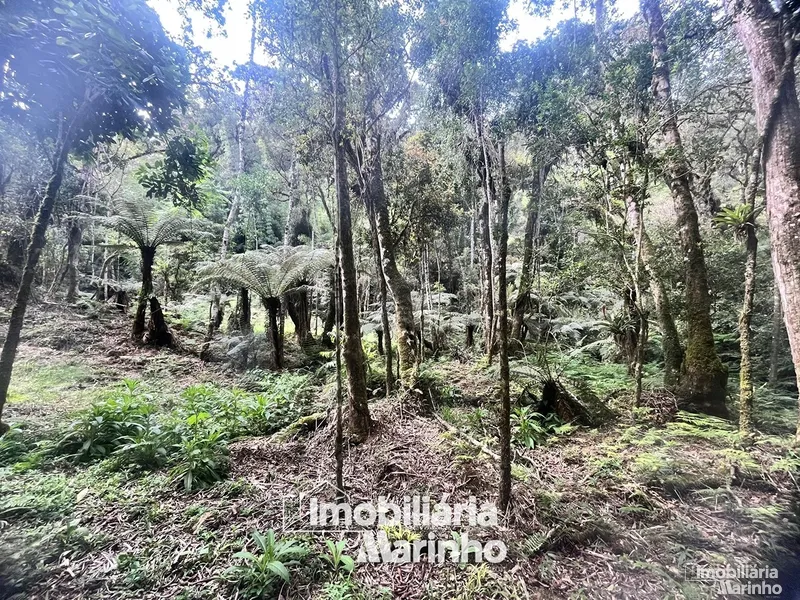 null: 11ª foto da galeria de imagens do imóvel