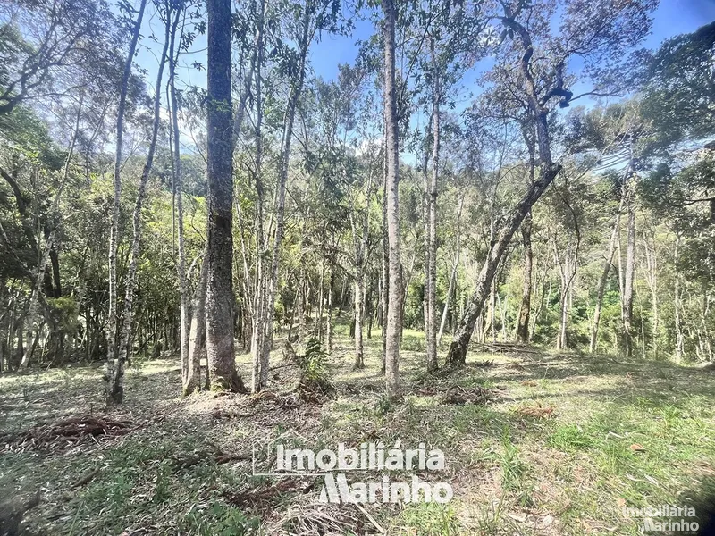 null: 2ª foto da galeria de imagens do imóvel