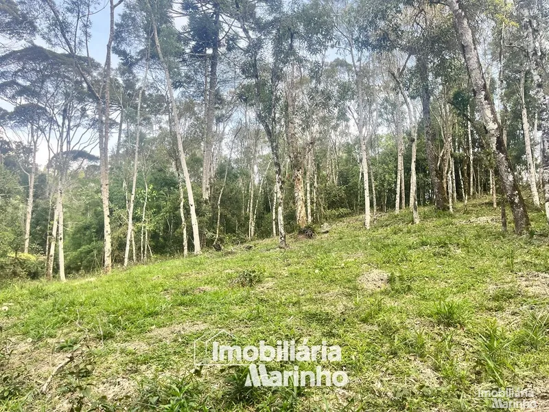 null: 6ª foto da galeria de imagens do imóvel