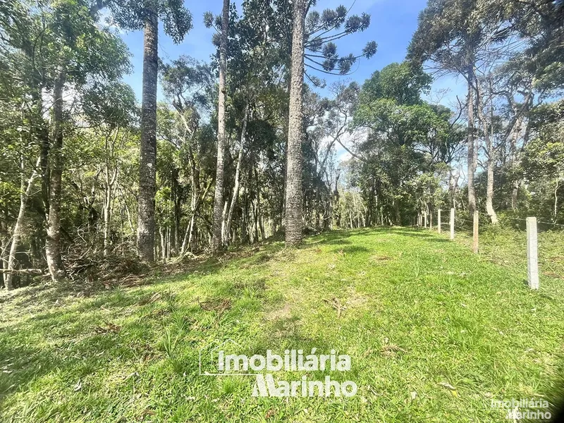 null: 12ª foto da galeria de imagens do imóvel