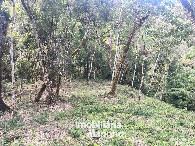 null: 4ª foto da galeria de imagens do imóvel