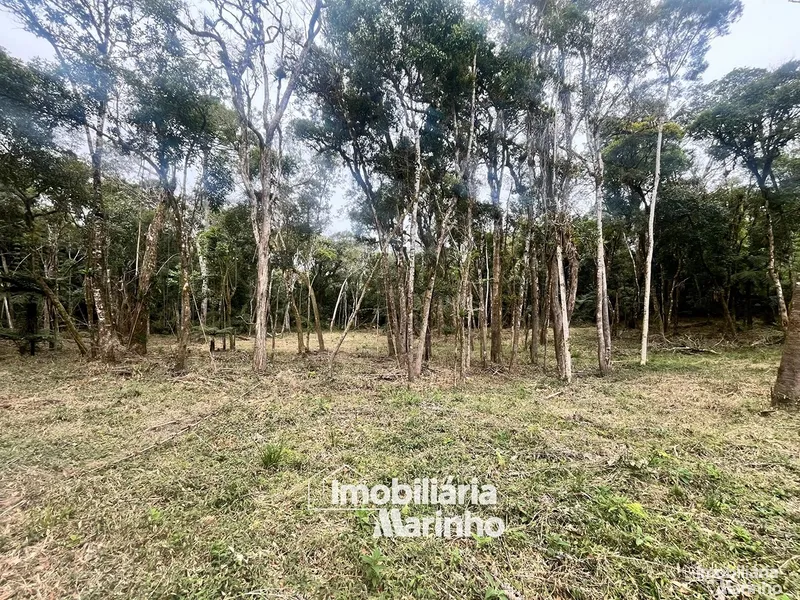 null: 4ª foto da galeria de imagens do imóvel