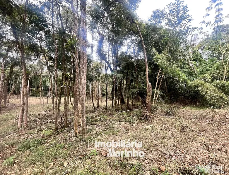 null: 7ª foto da galeria de imagens do imóvel