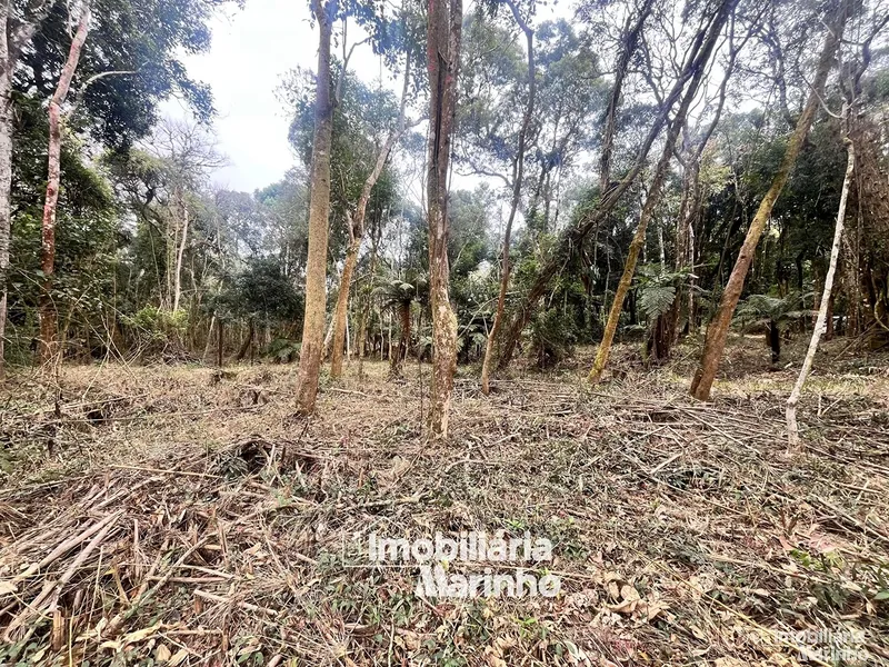 null: 2ª foto da galeria de imagens do imóvel