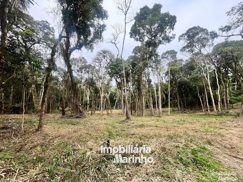 null: 1ª foto da galeria de imagens do imóvel