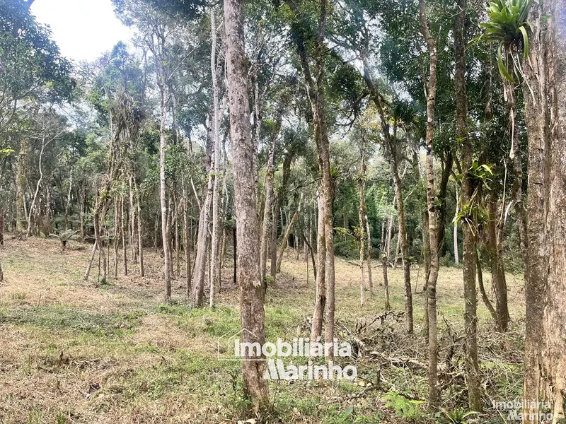 null: 6ª foto da galeria de imagens do imóvel