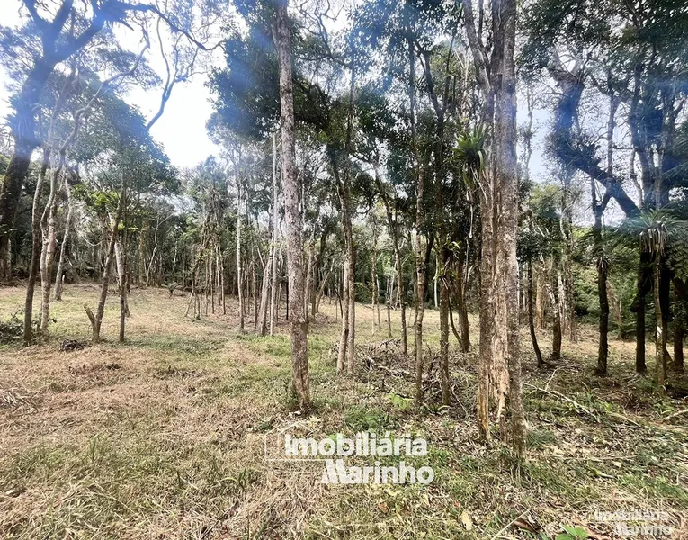 null: 8ª foto da galeria de imagens do imóvel