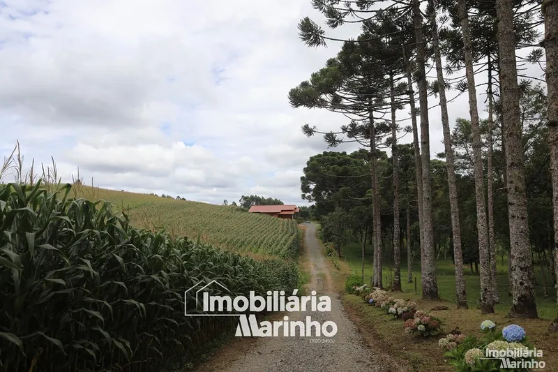 null: 1ª foto da galeria de imagens do imóvel