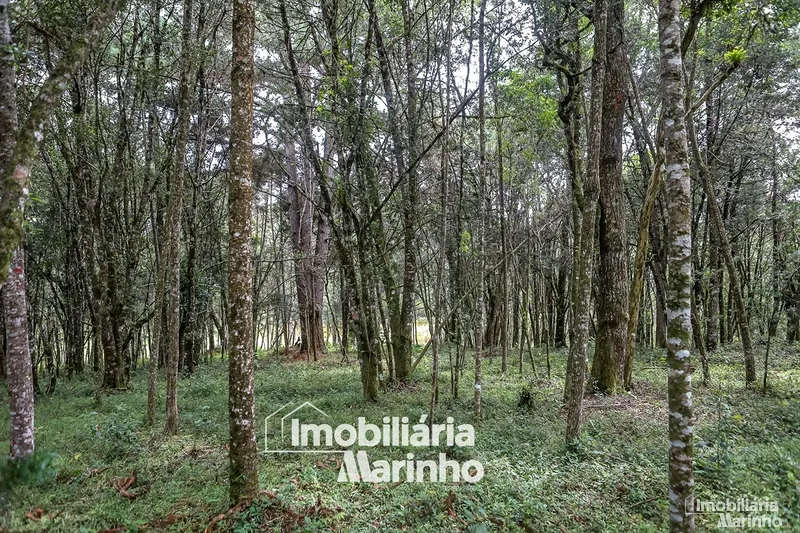null: 46ª foto da galeria de imagens do imóvel