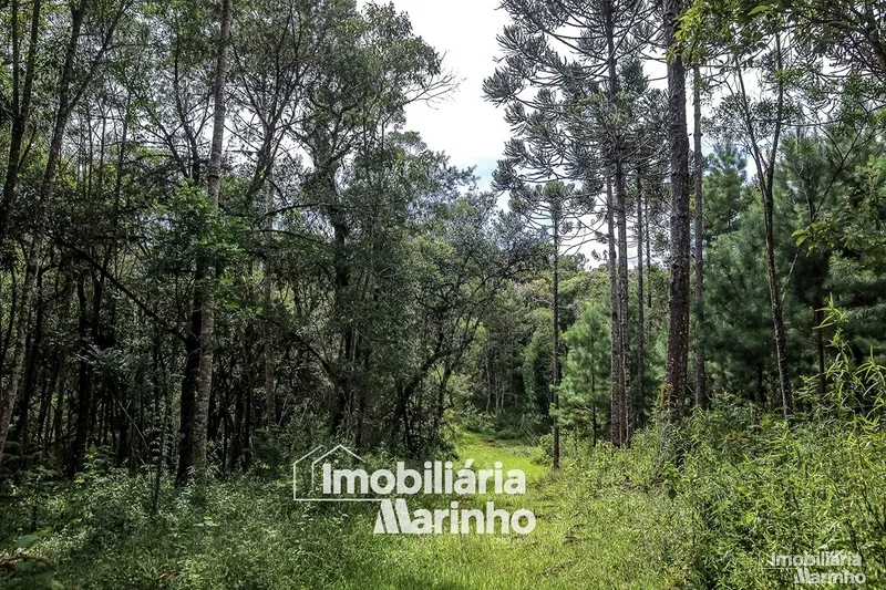 null: 38ª foto da galeria de imagens do imóvel