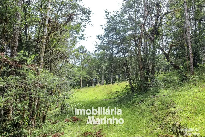 null: 53ª foto da galeria de imagens do imóvel