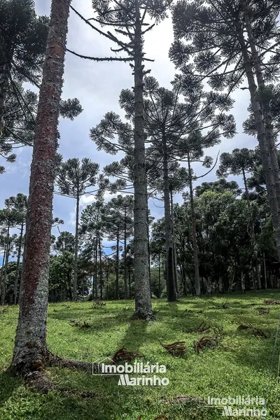 null: 50ª foto da galeria de imagens do imóvel