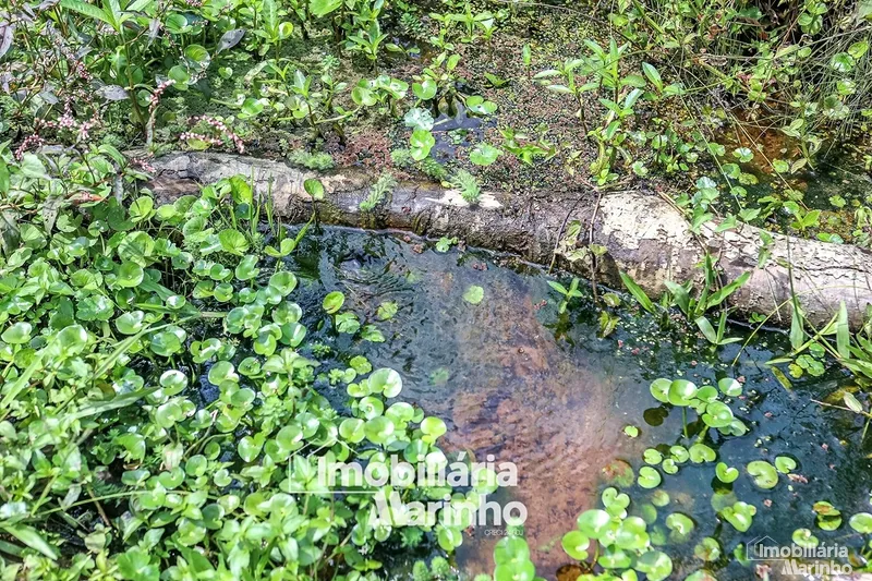 null: 42ª foto da galeria de imagens do imóvel
