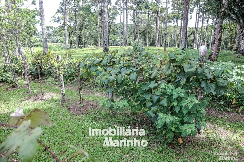 null: 12ª foto da galeria de imagens do imóvel