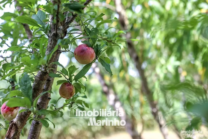 null: 14ª foto da galeria de imagens do imóvel