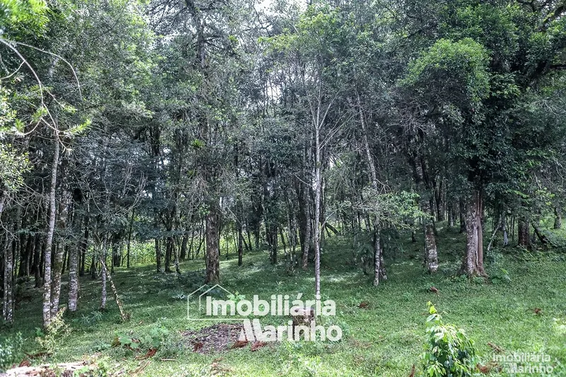 null: 2ª foto da galeria de imagens do imóvel
