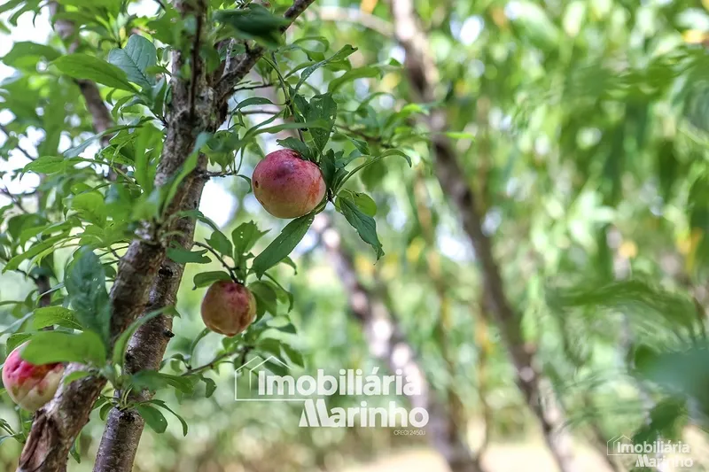 null: 45ª foto da galeria de imagens do imóvel