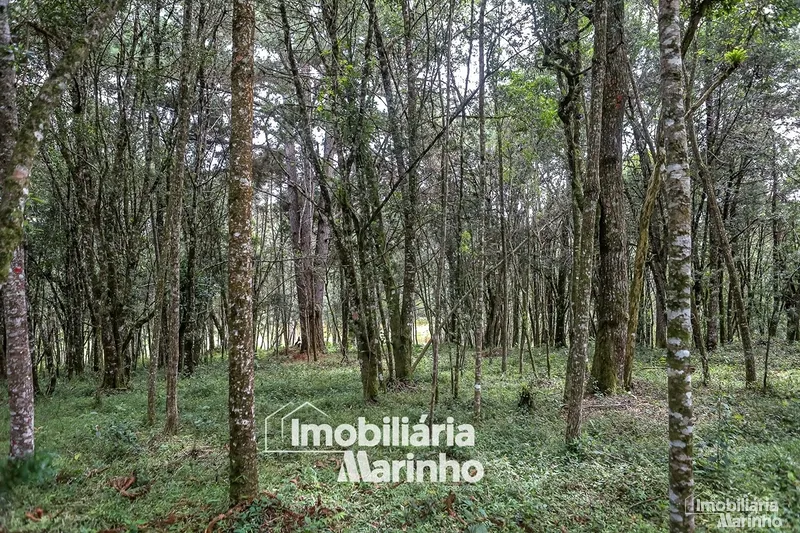 null: 36ª foto da galeria de imagens do imóvel