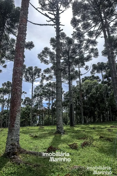 null: 20ª foto da galeria de imagens do imóvel
