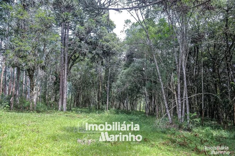 null: 34ª foto da galeria de imagens do imóvel