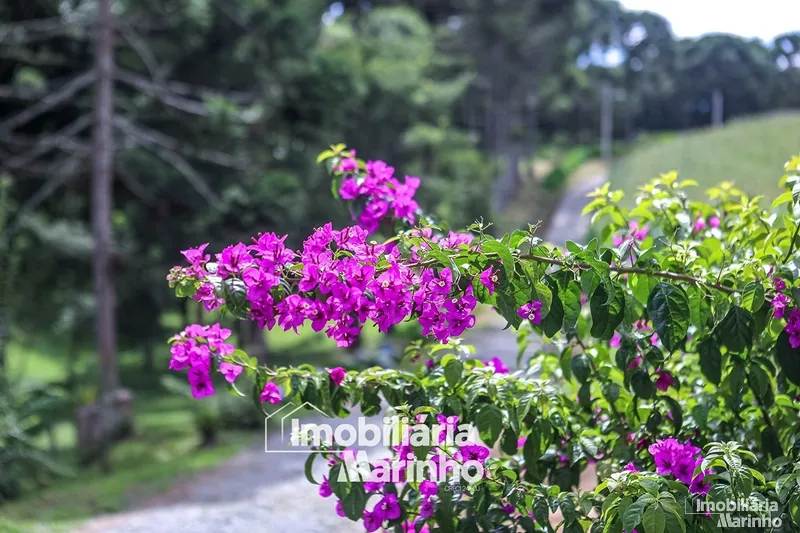 null: 35ª foto da galeria de imagens do imóvel