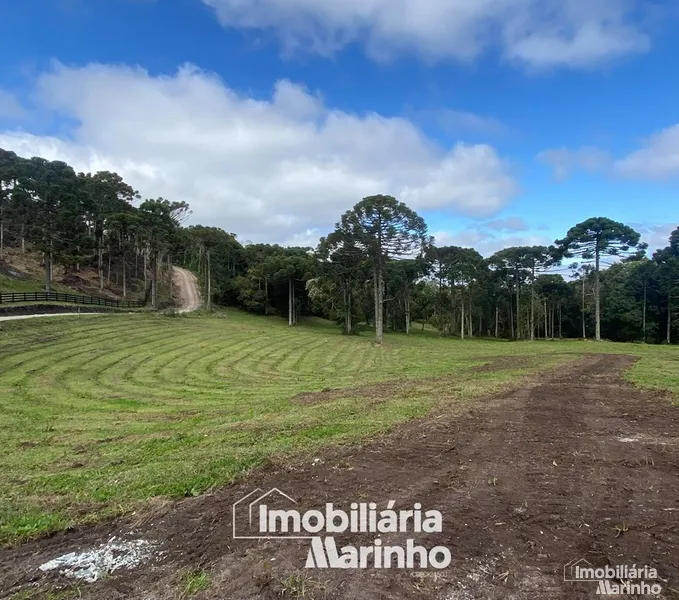null: 2ª foto da galeria de imagens do imóvel