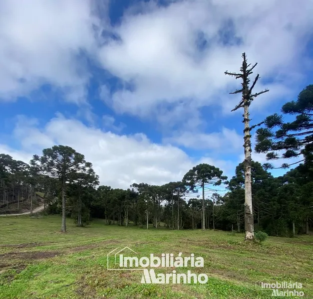 null: 13ª foto da galeria de imagens do imóvel