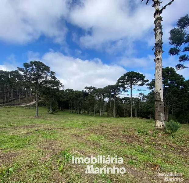 null: 15ª foto da galeria de imagens do imóvel