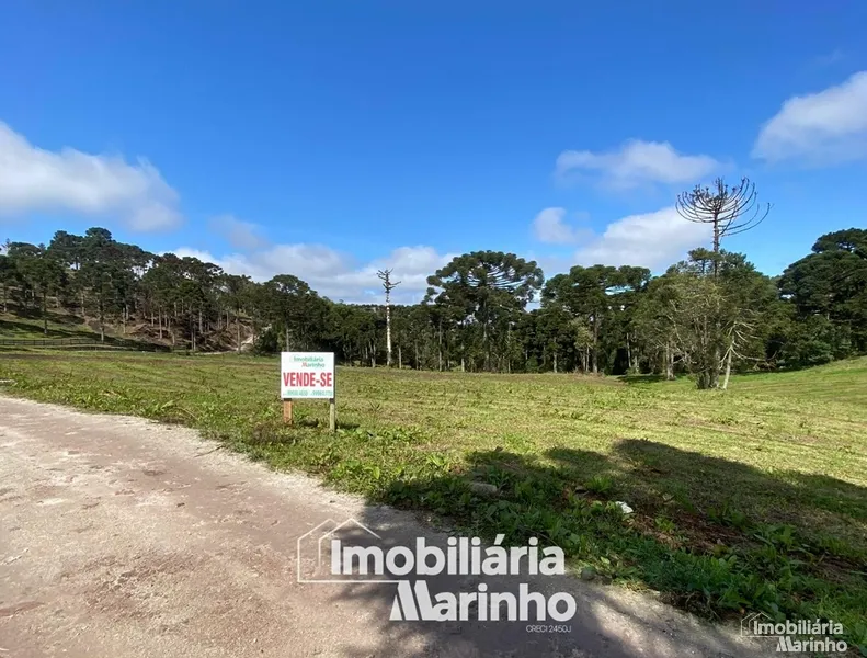 null: 4ª foto da galeria de imagens do imóvel