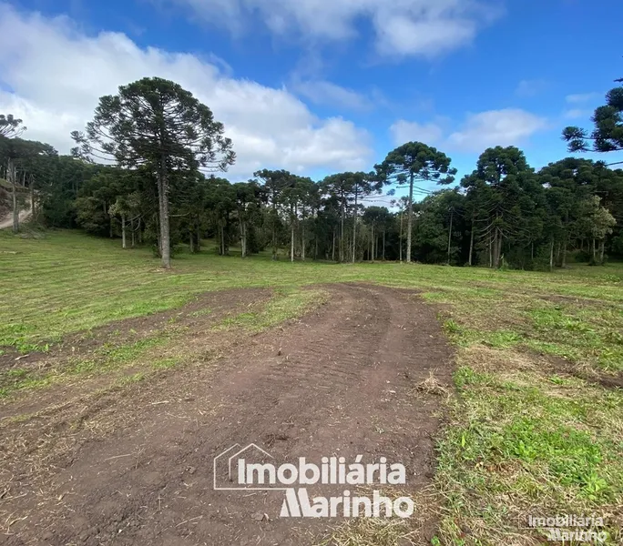 null: 6ª foto da galeria de imagens do imóvel