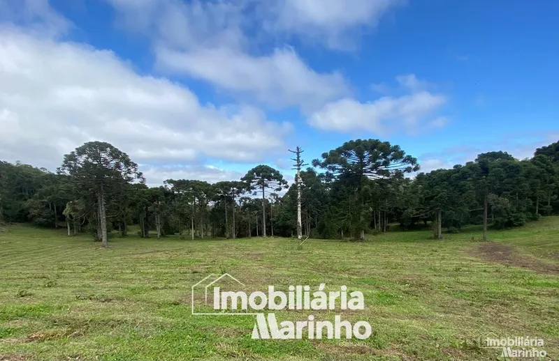 null: 1ª foto da galeria de imagens do imóvel