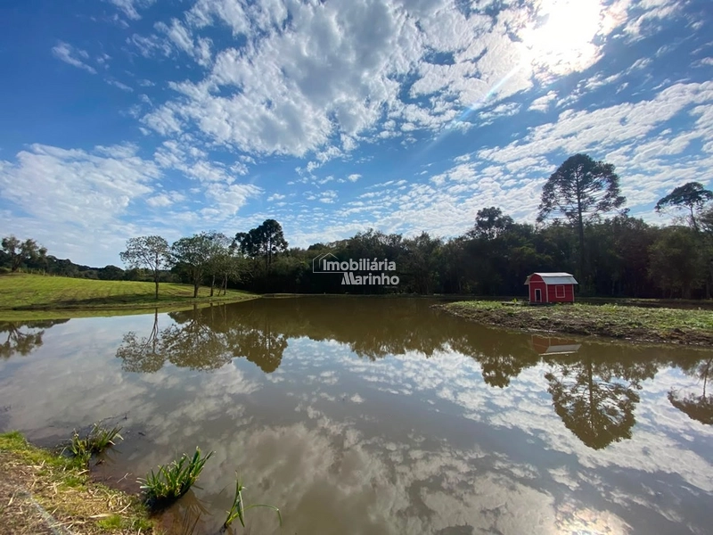 Chácara na Avenquinha em Campo Alegre/SC - Um lugar para viver a tranquilidade que só Campo Alegre pode oferecer: 14ª foto da galeria de imagens do imóvel