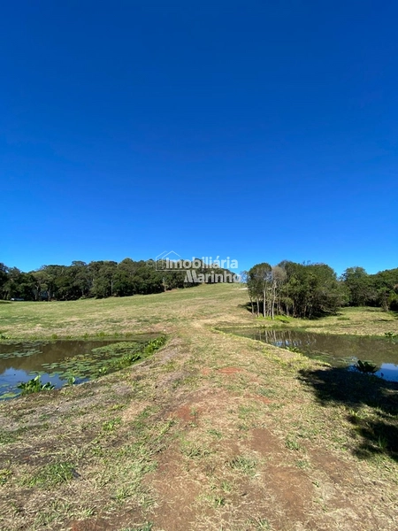 Chácara na Avenquinha em Campo Alegre/SC - Um lugar para viver a tranquilidade que só Campo Alegre pode oferecer: 4ª foto da galeria de imagens do imóvel