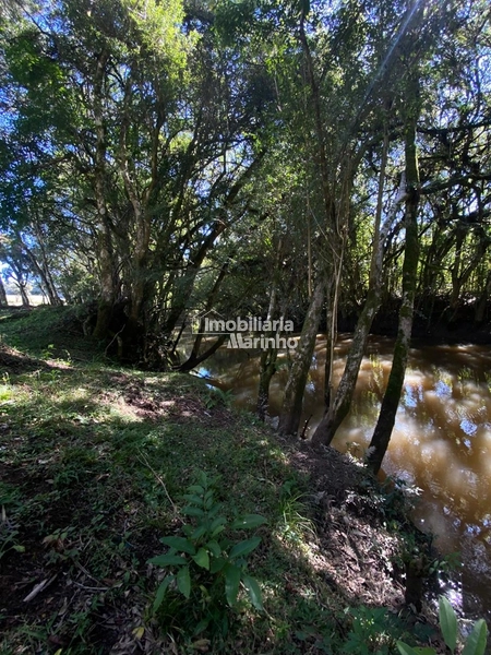Chácara na Avenquinha em Campo Alegre/SC - Um lugar para viver a tranquilidade que só Campo Alegre pode oferecer: 18ª foto da galeria de imagens do imóvel