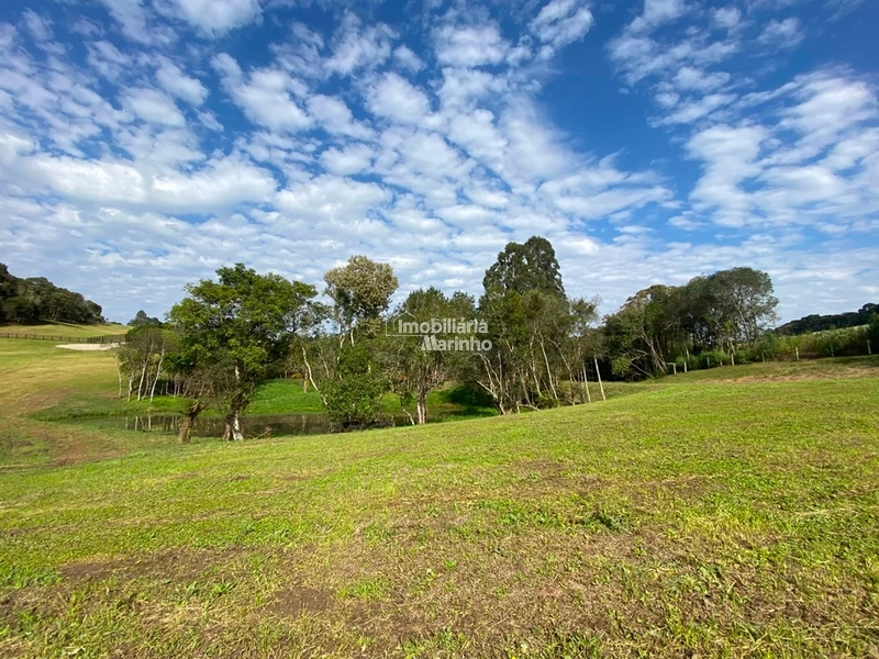 Chácara na Avenquinha em Campo Alegre/SC - Um lugar para viver a tranquilidade que só Campo Alegre pode oferecer: 2ª foto da galeria de imagens do imóvel