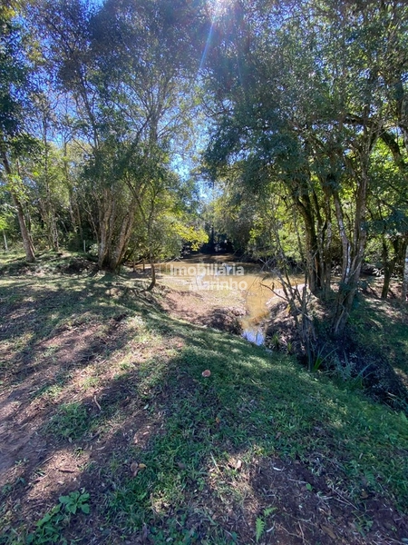 Chácara na Avenquinha em Campo Alegre/SC - Um lugar para viver a tranquilidade que só Campo Alegre pode oferecer: 11ª foto da galeria de imagens do imóvel