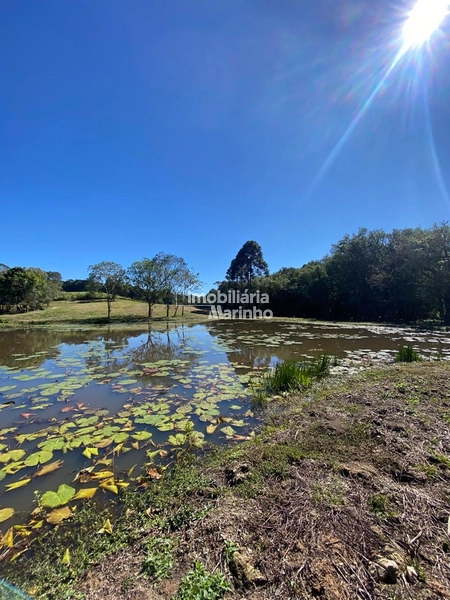 Chácara na Avenquinha em Campo Alegre/SC - Um lugar para viver a tranquilidade que só Campo Alegre pode oferecer: 23ª foto da galeria de imagens do imóvel