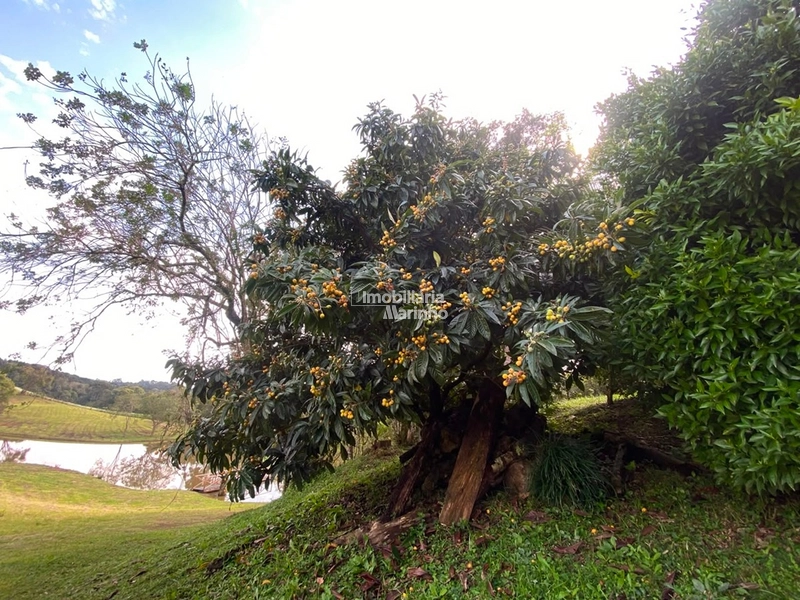 Chácara na Avenquinha em Campo Alegre/SC - Um lugar para viver a tranquilidade que só Campo Alegre pode oferecer: 8ª foto da galeria de imagens do imóvel