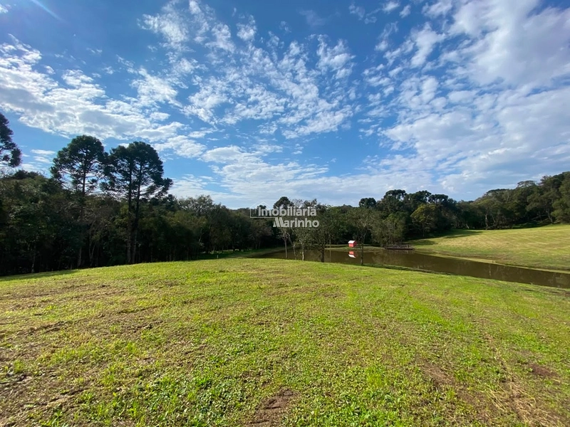 Chácara na Avenquinha em Campo Alegre/SC - Um lugar para viver a tranquilidade que só Campo Alegre pode oferecer: 3ª foto da galeria de imagens do imóvel